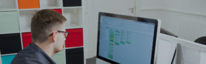 Web Design Service