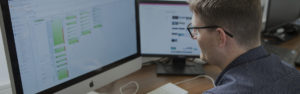 Paid Search